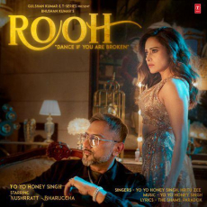 Rooh Yo Yo Honey Singh Rooh Yo Yo Honey Singh